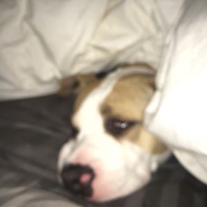 Meet your Posher, Edwar